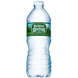 Poland Spring - Spring Water - 0.5 L (40 Plastic Bottles)