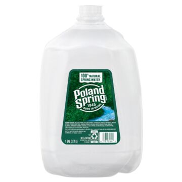 Poland Spring - Spring Water - 1 Gal (6 Plastic Bottles)