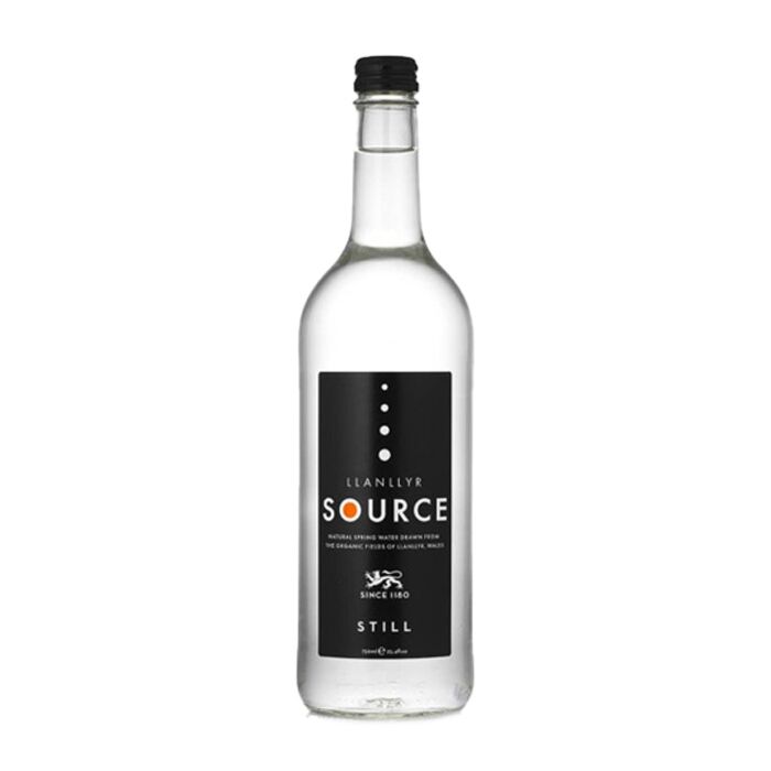 Llanllyr Source - Still Water - 500 ml (1 Glass Bottle)