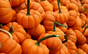 Spooky Halloween Punches for Kids